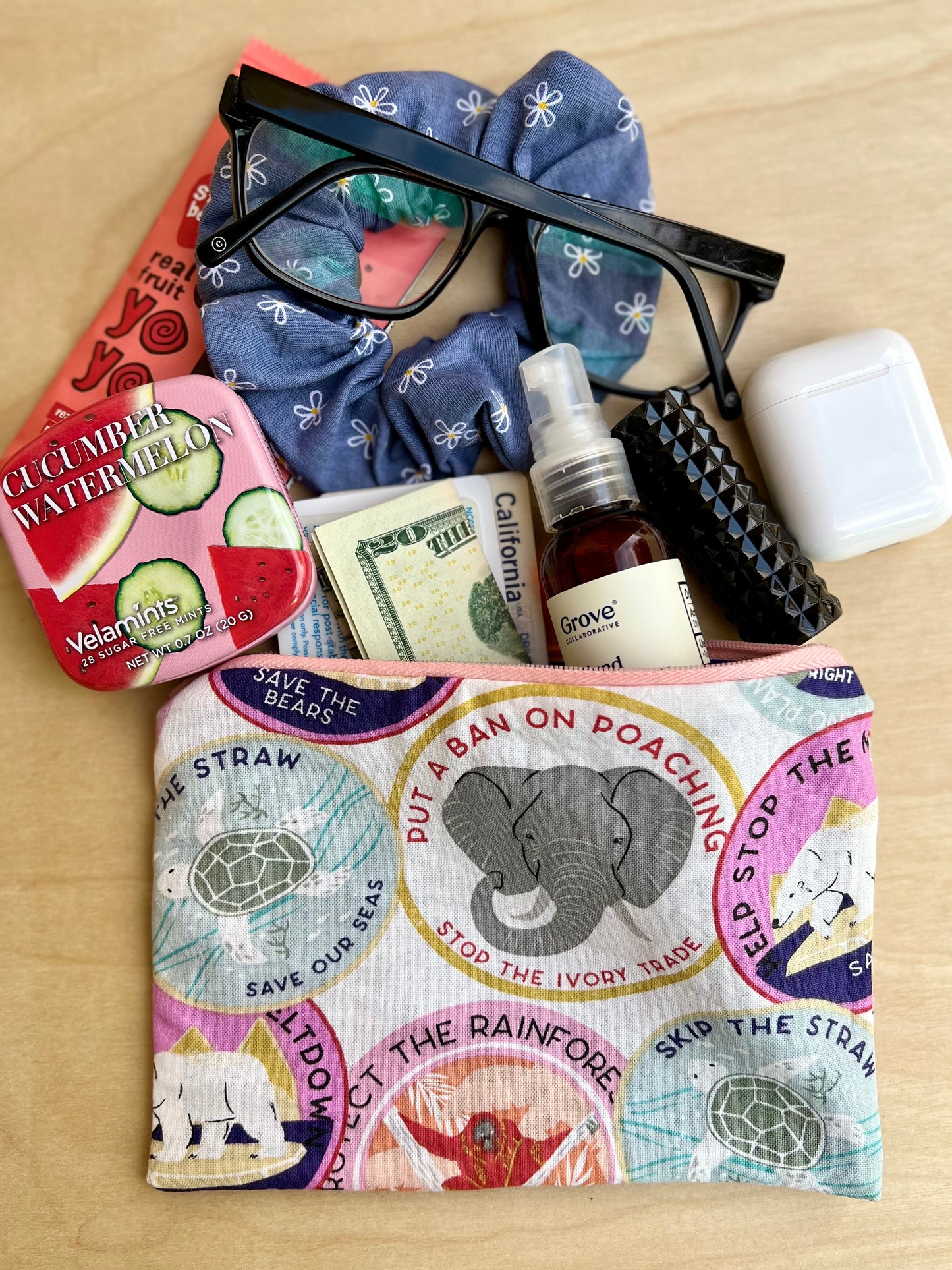 Climate Change is Real! Pouch